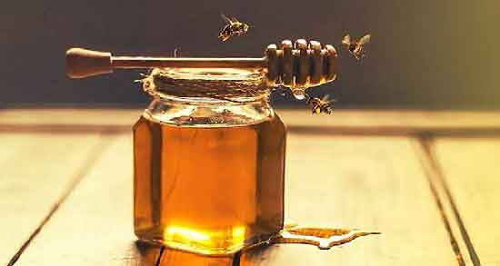 قیمت خرید عسل گون انگبین طبیعی با فروش عمده